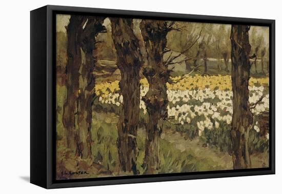 Bollenveldenn (Bulb Field), 1880-1937-Anton L. Koster-Framed Stretched Canvas