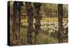 Bollenveldenn (Bulb Field), 1880-1937-Anton L. Koster-Stretched Canvas