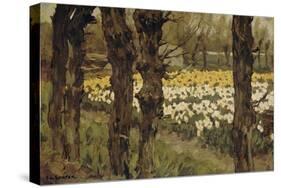 Bollenveldenn (Bulb Field), 1880-1937-Anton L. Koster-Stretched Canvas