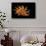 Bolma Girgyllus-Paul Starosta-Framed Stretched Canvas displayed on a wall