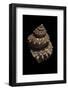 Bolma Modesta-Paul Starosta-Framed Photographic Print