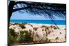 Bolonia, Costa de la Luz, Cadiz Province, Andalusia, southern Spain. Bolonia beach. Playa de Bol...-null-Mounted Photographic Print