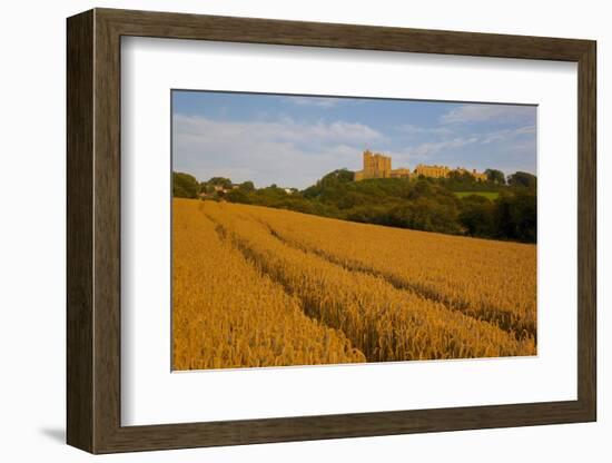 Bolsover Castle and Corn Field at Sunset, Bolsover, Derbyshire, England, United Kingdom, Europe-Frank Fell-Framed Photographic Print
