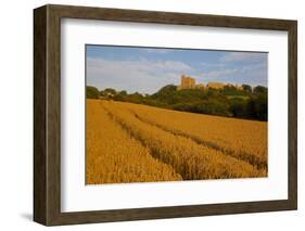 Bolsover Castle and Corn Field at Sunset, Bolsover, Derbyshire, England, United Kingdom, Europe-Frank Fell-Framed Photographic Print