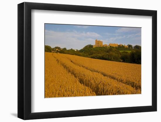 Bolsover Castle and Corn Field at Sunset, Bolsover, Derbyshire, England, United Kingdom, Europe-Frank Fell-Framed Photographic Print