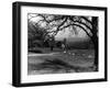 Bolton Abbey-null-Framed Photographic Print