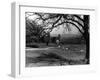 Bolton Abbey-null-Framed Photographic Print