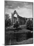 Bolton Abbey-Fred Musto-Mounted Photographic Print