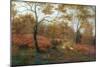 Bolton Woods, Yorkshire-William Mellor-Mounted Giclee Print