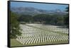 Bomana War Cemetery, Port Moresby, Papua New Guinea, Pacific-Michael Runkel-Framed Stretched Canvas