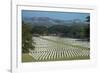 Bomana War Cemetery, Port Moresby, Papua New Guinea, Pacific-Michael Runkel-Framed Photographic Print