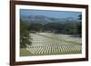 Bomana War Cemetery, Port Moresby, Papua New Guinea, Pacific-Michael Runkel-Framed Photographic Print