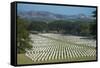 Bomana War Cemetery, Port Moresby, Papua New Guinea, Pacific-Michael Runkel-Framed Stretched Canvas