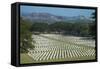 Bomana War Cemetery, Port Moresby, Papua New Guinea, Pacific-Michael Runkel-Framed Stretched Canvas
