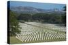 Bomana War Cemetery, Port Moresby, Papua New Guinea, Pacific-Michael Runkel-Stretched Canvas