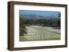 Bomana War Cemetery, Port Moresby, Papua New Guinea, Pacific-Michael Runkel-Framed Photographic Print