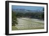 Bomana War Cemetery, Port Moresby, Papua New Guinea, Pacific-Michael Runkel-Framed Photographic Print