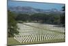 Bomana War Cemetery, Port Moresby, Papua New Guinea, Pacific-Michael Runkel-Mounted Photographic Print