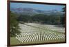 Bomana War Cemetery, Port Moresby, Papua New Guinea, Pacific-Michael Runkel-Framed Photographic Print