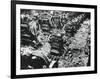 Bomb Damage at a Renault Factory, Sevres, Paris, 4 April 1943-null-Framed Photographic Print