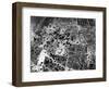 Bomb Damage in Osaka-null-Framed Photographic Print