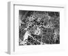 Bomb Damage in Osaka-null-Framed Photographic Print