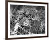 Bomb Damage in Osaka-null-Framed Photographic Print