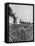 Bombardment of a Windmill with Incendiary Shells, Artois, France, World War I, 1915-null-Framed Stretched Canvas