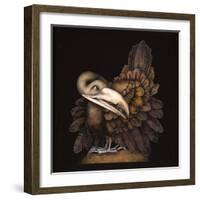 BOMBAX BIRD-Wayne Anderson-Framed Giclee Print