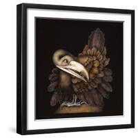 BOMBAX BIRD-Wayne Anderson-Framed Giclee Print