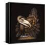 BOMBAX BIRD-Wayne Anderson-Framed Stretched Canvas