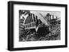 Bombed Bridge in Poland-null-Framed Photographic Print