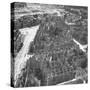 Bombed Out Buildings in Berlin Following Allied Capture of the City-null-Stretched Canvas