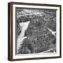 Bombed Out Buildings in Berlin Following Allied Capture of the City-null-Framed Photographic Print