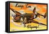 Bomber Airplane-null-Framed Stretched Canvas