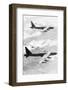 Bomber Planes Releasing Bombs-null-Framed Photographic Print