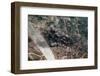 Bombing of Haiphong Harbor-null-Framed Photographic Print