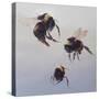 Bombus flight 1, 2011-Odile Kidd-Stretched Canvas