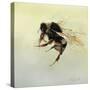 Bombus terrestris 4, 2011-Odile Kidd-Stretched Canvas