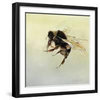 Bombus terrestris 4, 2011-Odile Kidd-Framed Giclee Print