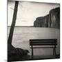 Bon Echo, Study #1-Andrew Ren-Mounted Art Print