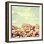 Bon Voyage Text Written on the Stone at Beach-brickrena-Framed Photographic Print