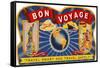 Bon Voyage, Travel Smart-null-Framed Stretched Canvas