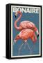 Bonaire, Dutch Caribbean - Flamingo-Lantern Press-Framed Stretched Canvas
