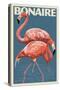 Bonaire, Dutch Caribbean - Flamingo-Lantern Press-Stretched Canvas
