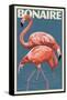 Bonaire, Dutch Caribbean - Flamingo-Lantern Press-Framed Stretched Canvas
