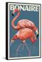 Bonaire, Dutch Caribbean - Flamingo-Lantern Press-Framed Stretched Canvas