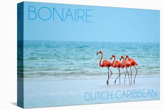 Bonaire, Dutch Caribbean - Flamingos and Ocean-Lantern Press-Stretched Canvas