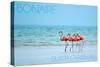 Bonaire, Dutch Caribbean - Flamingos and Ocean-Lantern Press-Stretched Canvas