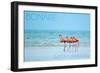 Bonaire, Dutch Caribbean - Flamingos and Ocean-Lantern Press-Framed Art Print